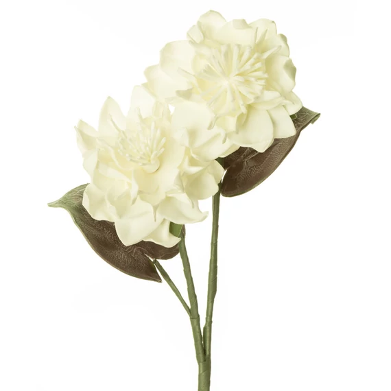 x KW/FLORE/764/B B