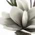 Kép 2/2 - MAGNÓLIA műdíszvirág műanyag habszivacsból Kép 2/2 - MAGNÓLIA műdíszvirág műanyag habszivacsból