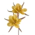 Kép 1/3 - Flore 744 Dekoratív Virág, Sárga Szín, 90% EVA, 10% Fém